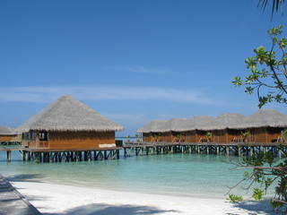 Fototapeta premium wasserbungalow