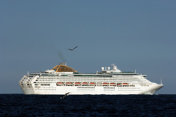 cruise ship with seagulls