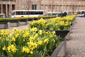 helsinki