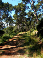 promenons nous dans les bois
