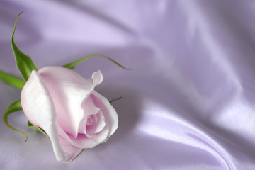 softness