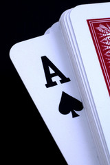 ace
