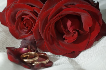 red roses