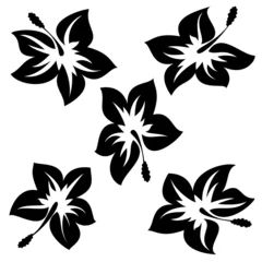 Papier Peint photo Fleurs noir et blanc fleurs