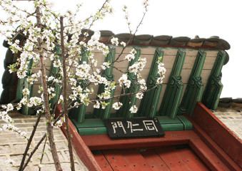 Obraz premium korean palace