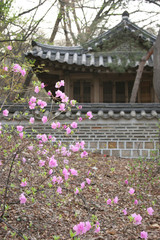 Naklejka premium korean temple