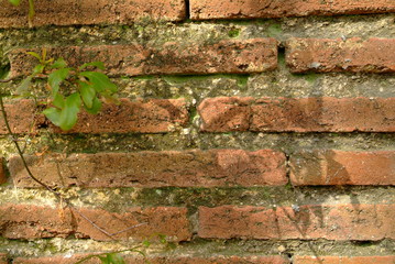 mur en brique