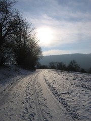 Fototapeta premium winterweg