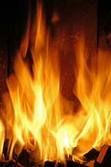 flames #44