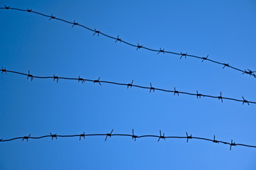 barbed wire against a blue sky