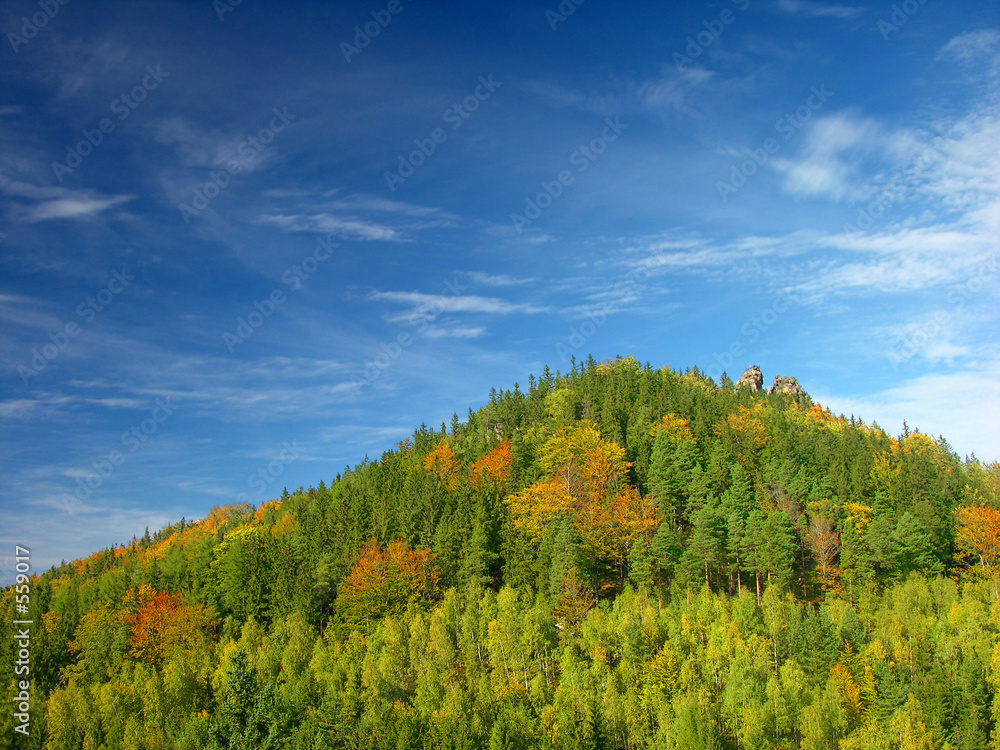 Poster autumn, summer hill landscape