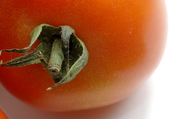 les legumes de mon potager