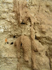 sand stalactite