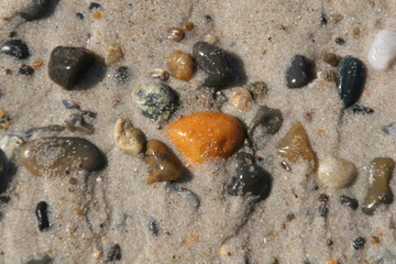 Fototapeta na wymiar kolorowe kamienie w mokrym piasku