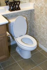 toilet