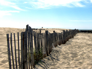 dunes