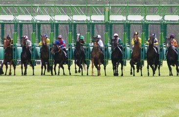 départ de la course