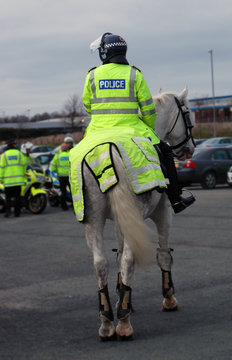 police horse