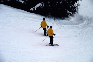 pair skiing
