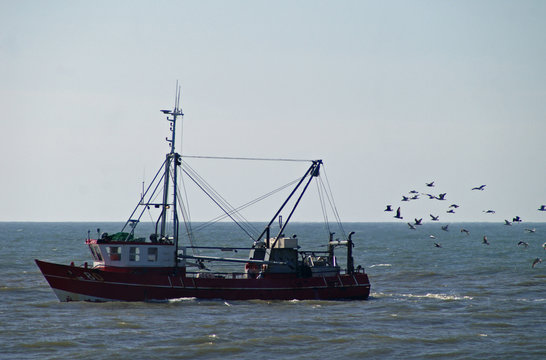 fischkutter