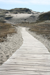 road into the sand