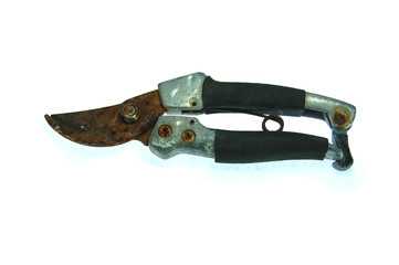 rusty garden shear