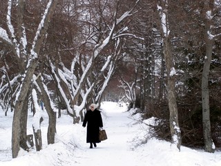 woman in the winter forest
