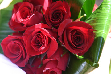 red roses