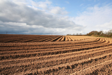 ploughed field furrows