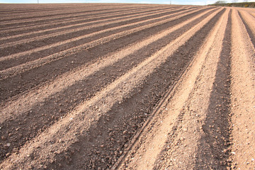 ploughed field furrows