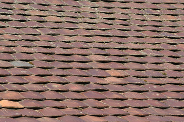 dachziegel  biberschw&auml;nze