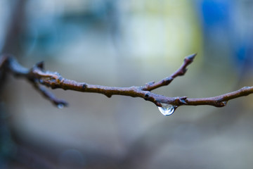 raining in the early spring in russia