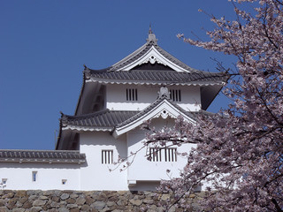 old japanese castle