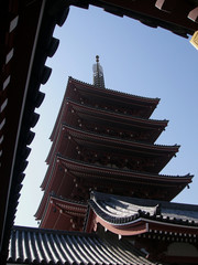 asakusa temple view
