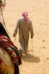 man with his camel