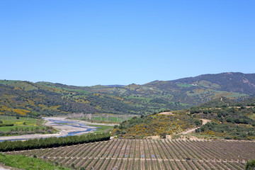 meandering river next to vineyard in spain