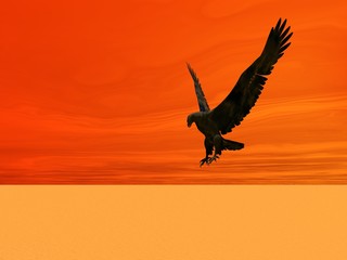 Plakat desert eagle