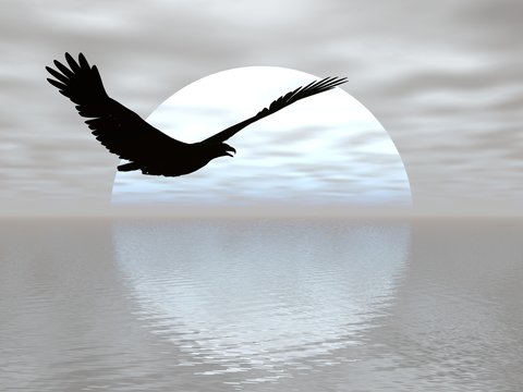 cruising moon eagle