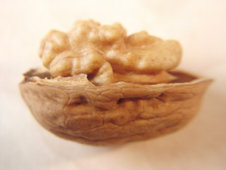 walnut closeup