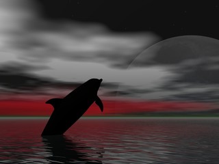leaping dolphin © Paul Moore