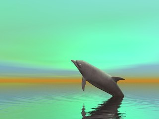 surreal dolphin