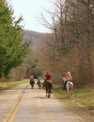 Fototapeta premium horseback riding