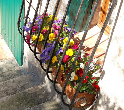 balcon fleuri