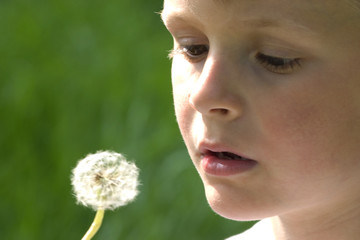 enfant au pissenlit