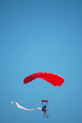 skydiver, vertical composition