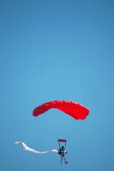Deurstickers Luchtsport skydiver, vertical composition