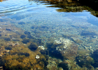 transparence ded l'eau