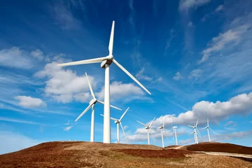 Foto op Plexiglas Molens windturbinepark