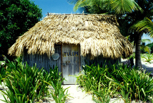 paradis terrestre