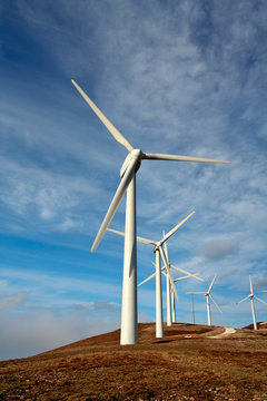 wind turbines farm